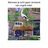 FB_IMG_1555529315900.jpg