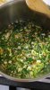 IMG-20190419-WA0001.jpeg