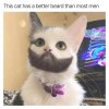 FB_IMG_1555718510842.jpg
