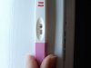 20190420_071451.jpg