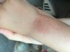 2F8DF505-85B1-4D4B-9FAD-236494FA6657.jpeg