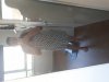 20190420_182606.jpg