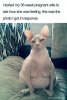 644C8037-F387-44CF-8AE5-1E8E3DDC3088.jpeg