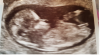 upload_2019-4-24_14-43-35.png