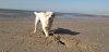 IMG-20190228-WA0006.jpg