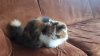 IMG-20190424-WA0011.jpg
