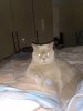 IMG_20180713_060008.jpg