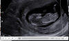 upload_2019-5-1_16-3-41.png