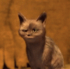 giphy (10).gif