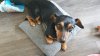 20190503_085332.jpg