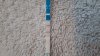 IMG-20190503-WA0001.jpeg
