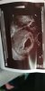 IMG-20190503-WA0023.jpeg