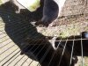 20190504_115817.jpg