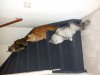 20180812_134304.jpg