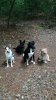 IMG-20170802-WA0002.jpg
