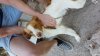 20190506_095305.jpg