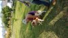 20190506_191549.jpg