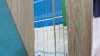 IMG-20190509-WA0007.jpeg
