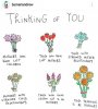FB_IMG_1526198481874.jpg