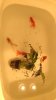 P_20190512_092838_vHDR_On.jpg