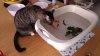 P_20190512_114123_vHDR_On.jpg