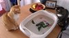 P_20190514_144536_vHDR_On.jpg