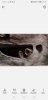 Screenshot_20190514_162945_com.android.gallery3d.jpg