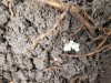 20190516_161701.jpg