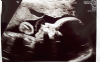 20190517_083310.png