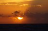 DSC05444a.jpg