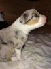 IMG-20190517-WA0007.jpg