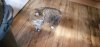 IMG-20190519-WA0013.jpeg