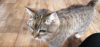 IMG-20190519-WA0016.jpeg