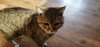 IMG-20190519-WA0018.jpeg