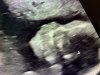06239457-0C78-4999-BE3E-A7EBB35CFC6D.jpeg