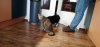 IMG-20190520-WA0019.jpeg