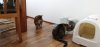 IMG-20190520-WA0023.jpeg