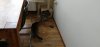 IMG-20190520-WA0025.jpeg