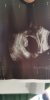 IMG-20190521-WA0016.jpeg