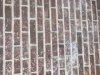 E310492F-8F4A-488B-B329-49C0410D24D8.jpeg