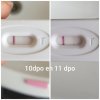PhotoCollage_20190526_084740131.jpg