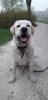 IMG-20190408-WA0001.jpg