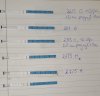 20190528_045837.jpg