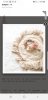 Screenshot_20190601-070628_Samsung Internet.jpg
