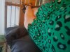 20190603_212857.jpg