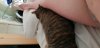 20190604_064521.jpg