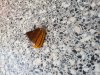 20190606_105838.jpg