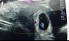 Screenshot_20190608-155019_Gallery.jpg