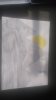 IMG-20190611-WA0012.jpeg