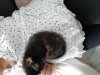 20190613_085957.jpg